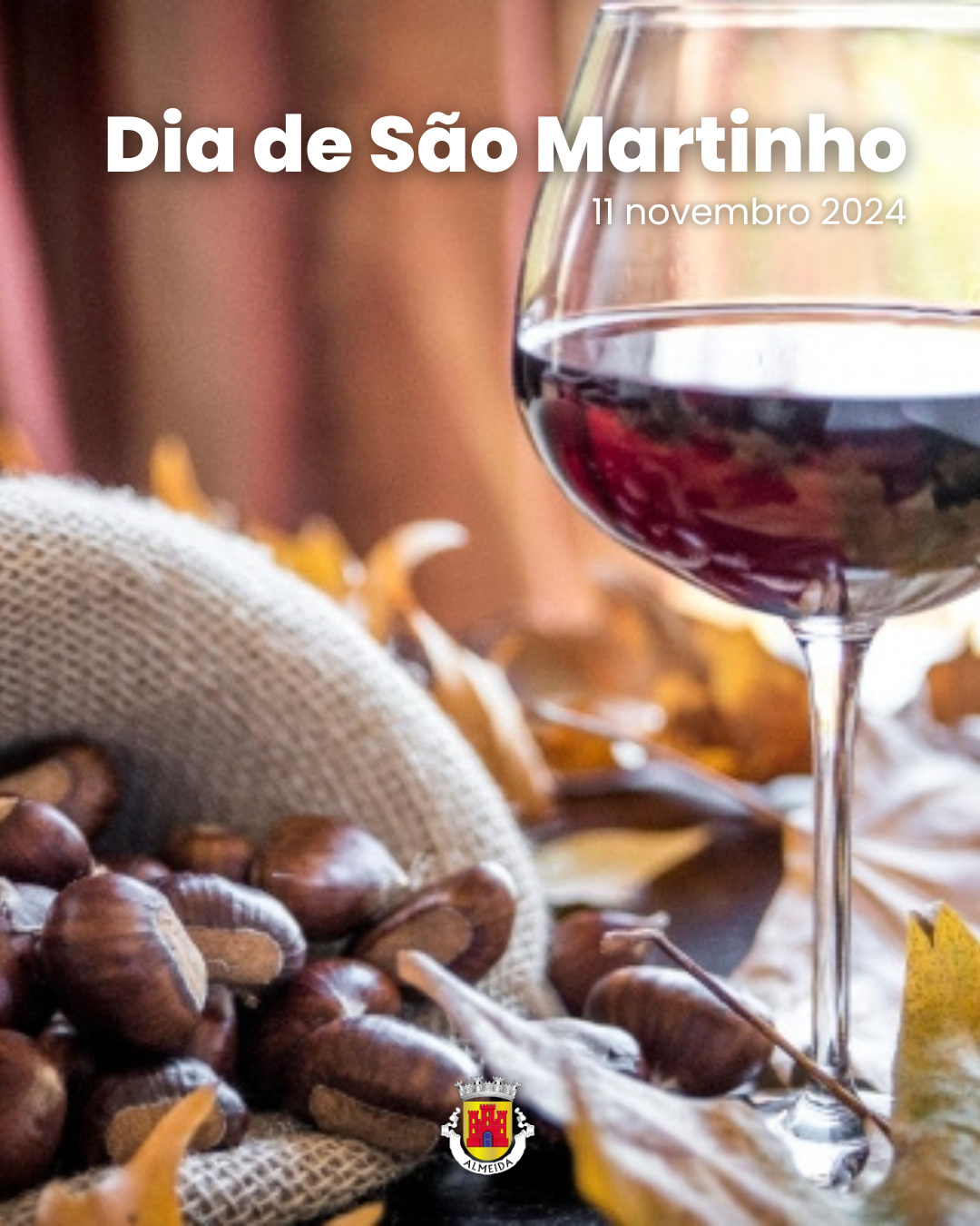 NO DIA DE SÃO MARTINHO